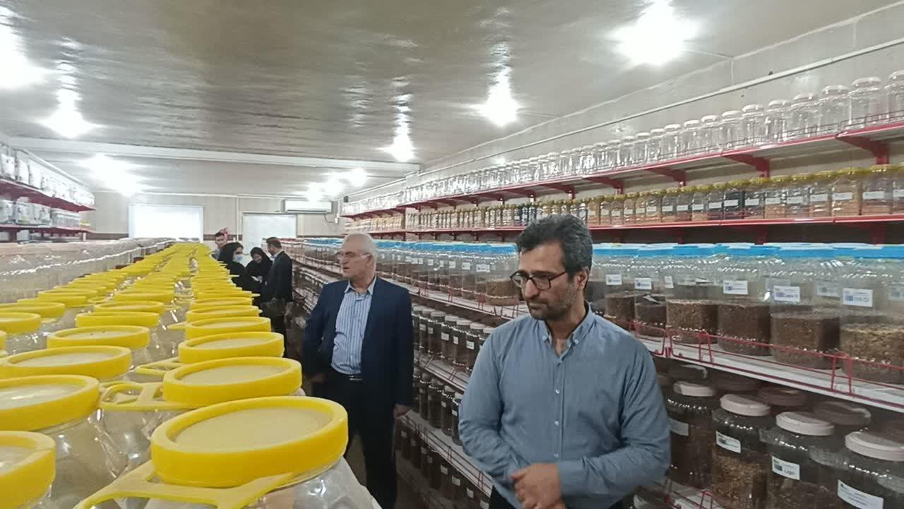 حضور اعضای محترم هیئت علمی دانشگاه  علوم کشاورزی و منابع طبیعی ساری در مرکز تحقیقات 